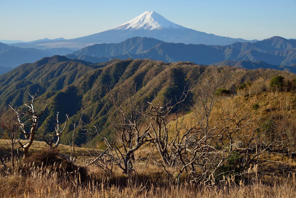 週末の富士山（新作1053）