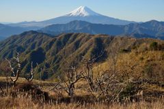 週末の富士山（新作1053）
