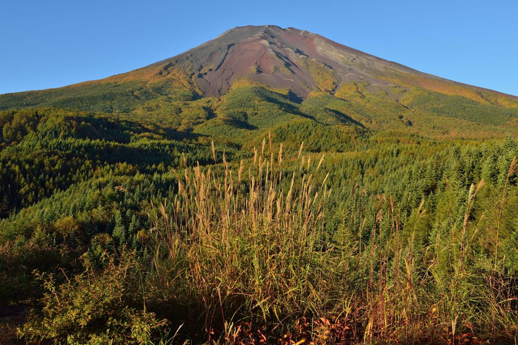 平日の富士山382