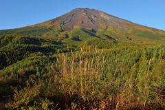 平日の富士山382