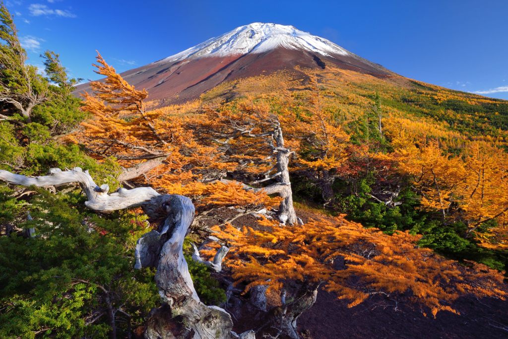 週末の富士山（新作55）