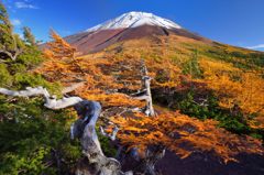 週末の富士山（新作55）