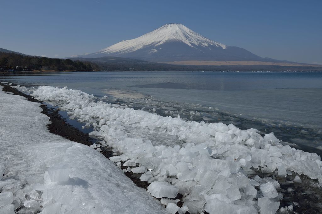 週末の富士山（新作810）