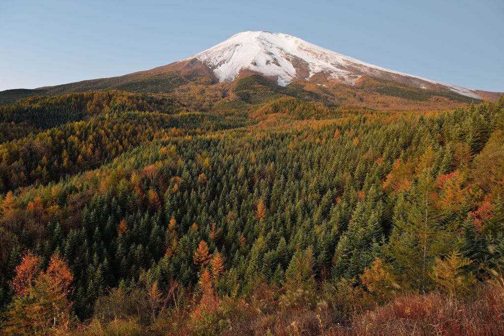 平日の富士山388