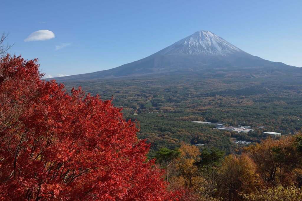 平日の富士山865