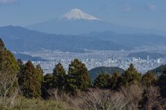 平日の富士山1051
