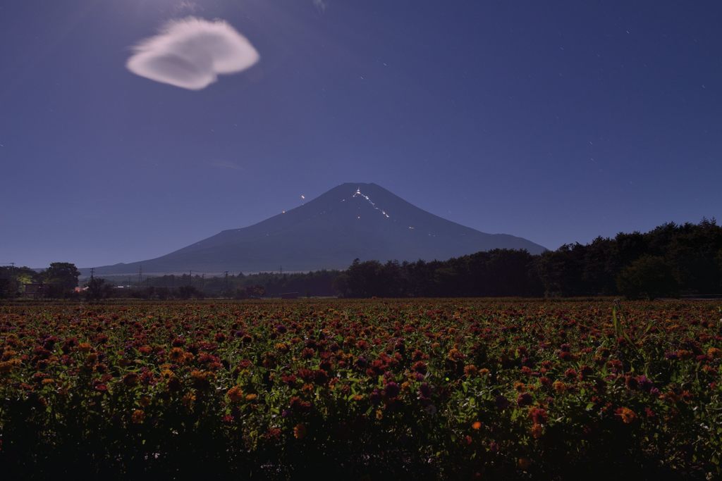 週末の富士山（新作998）