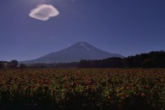 週末の富士山（新作998）