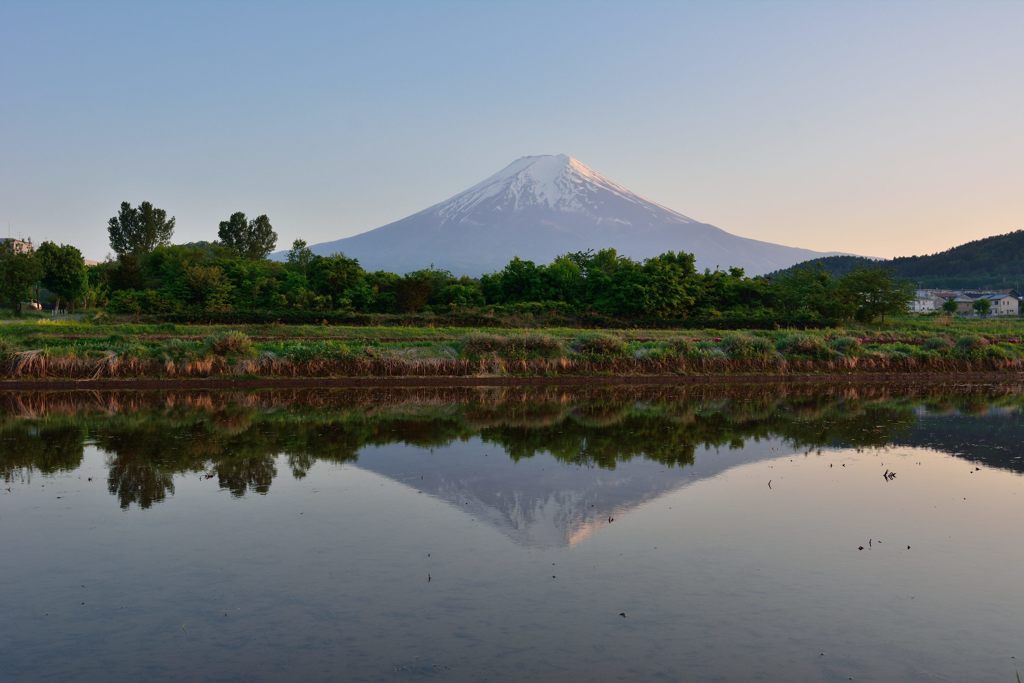 週末の富士山（新作670）
