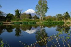 週末の富士山（新作832）