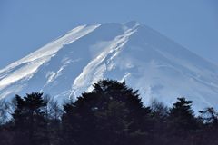 週末の富士山（新作502）