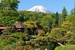 週末の富士山（新作661）