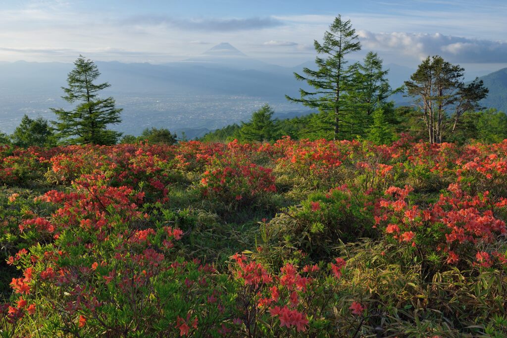 平日の富士山736