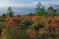 平日の富士山736