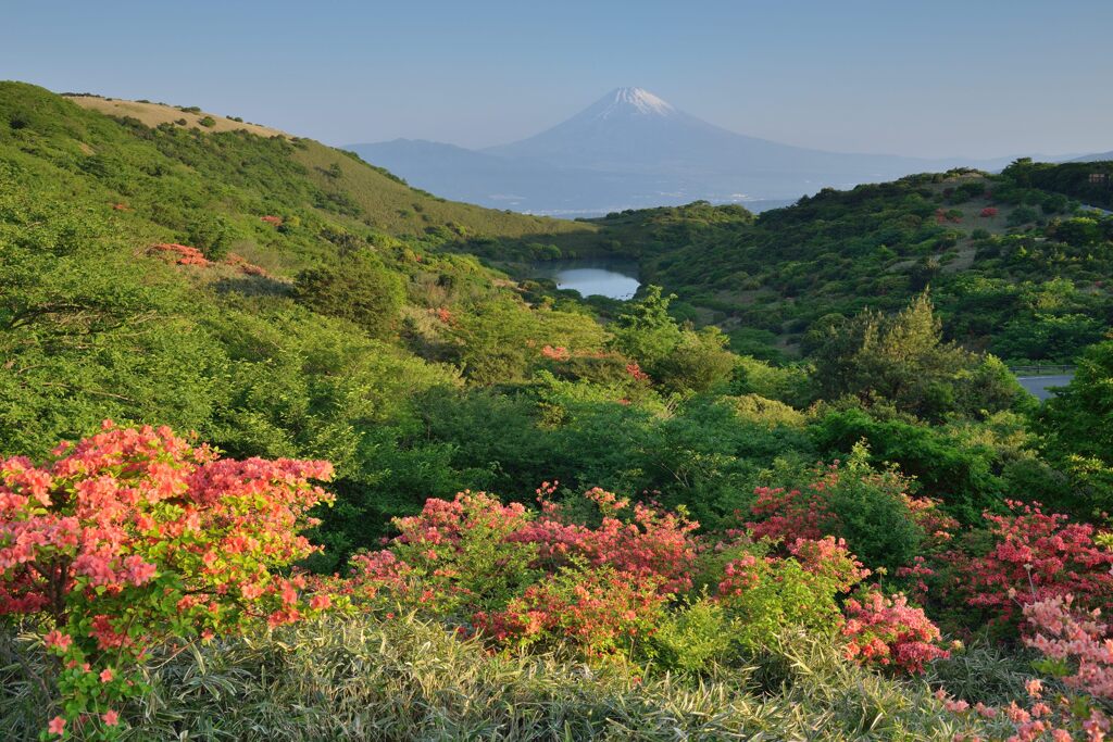平日の富士山727