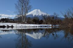 週末の富士山（新作1215）