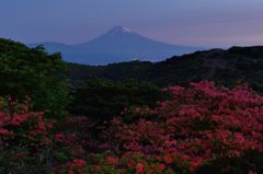 週末の富士山（新作224）