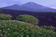 週末の富士山（新作12）