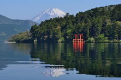 週末の富士山（新作218）