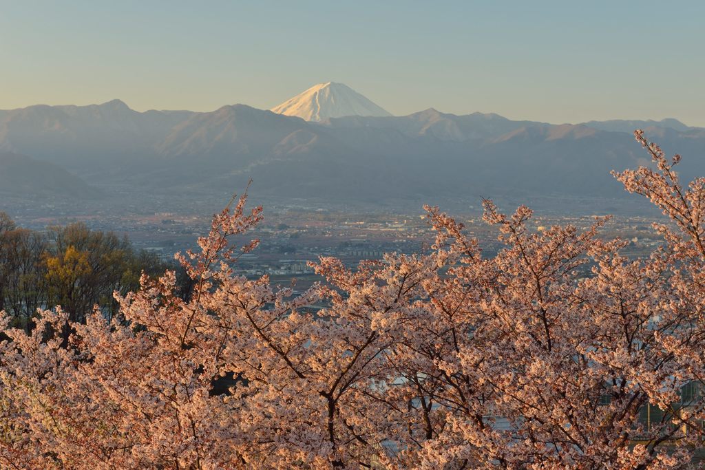 週末の富士山（新作1138）