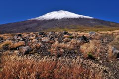 週末の富士山（新作308）