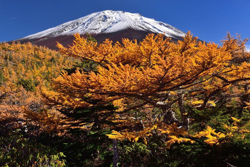 週末の富士山（新作54）