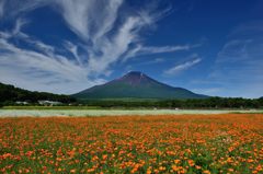 週末の富士山（新作241）