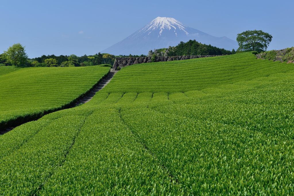 週末の富士山（新作854）