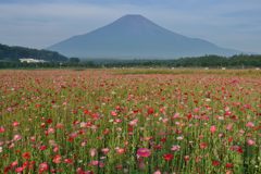 週末の富士山（新作947）