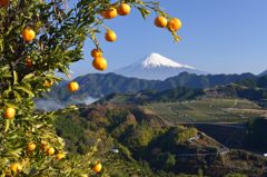週末の富士山（新作91）
