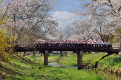 平日の富士山285