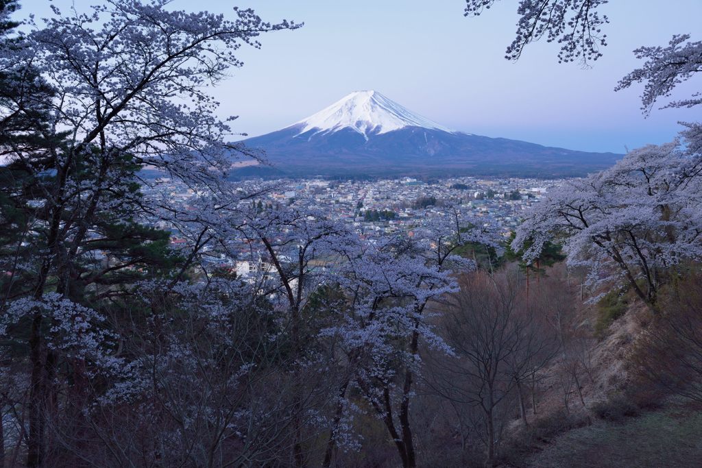 週末の富士山（新作1156）
