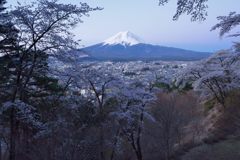 週末の富士山（新作1156）