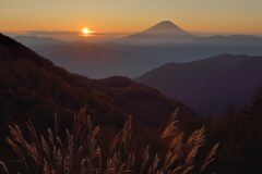 週末の富士山185