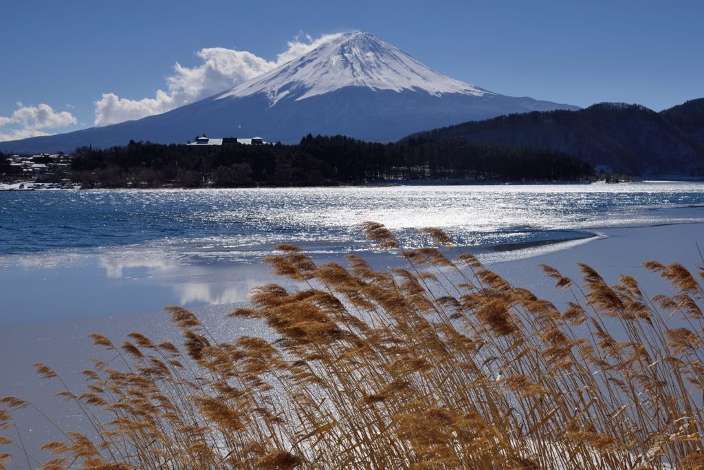 週末の富士山（新作140）