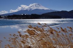 週末の富士山（新作140）