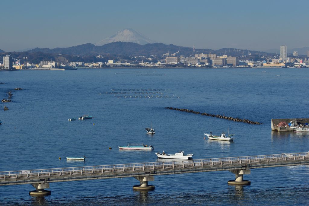 週末の富士山（新作715）