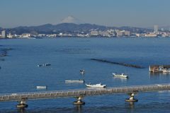 週末の富士山（新作715）