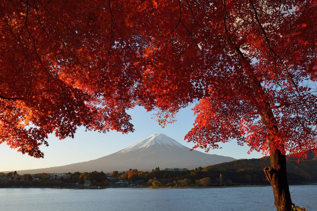 平日の富士山147