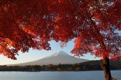 平日の富士山147