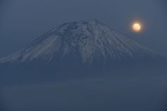 週末の富士山（新作494）