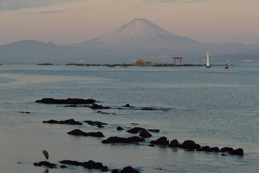 週末の富士山（新作705）