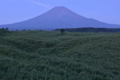 週末の富士山（新作944）