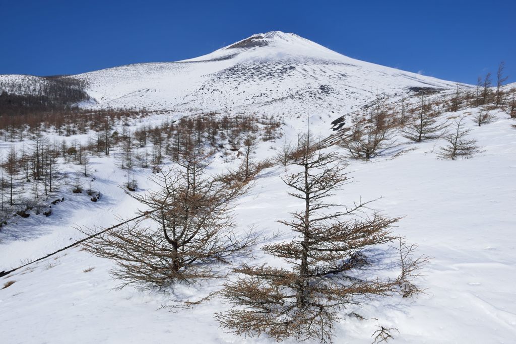 週末の富士山（新作410）
