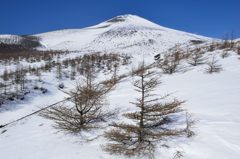 週末の富士山（新作410）