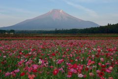 平日の富士山335