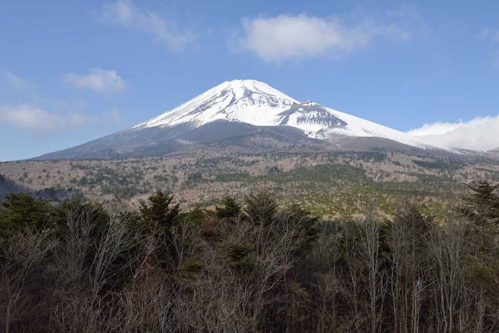 平日の富士山1042