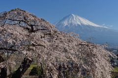週末の富士山（新作1128）