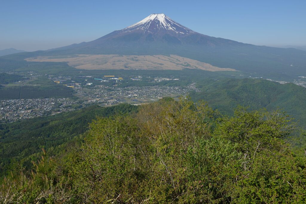 週末の富士山50