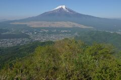 週末の富士山50